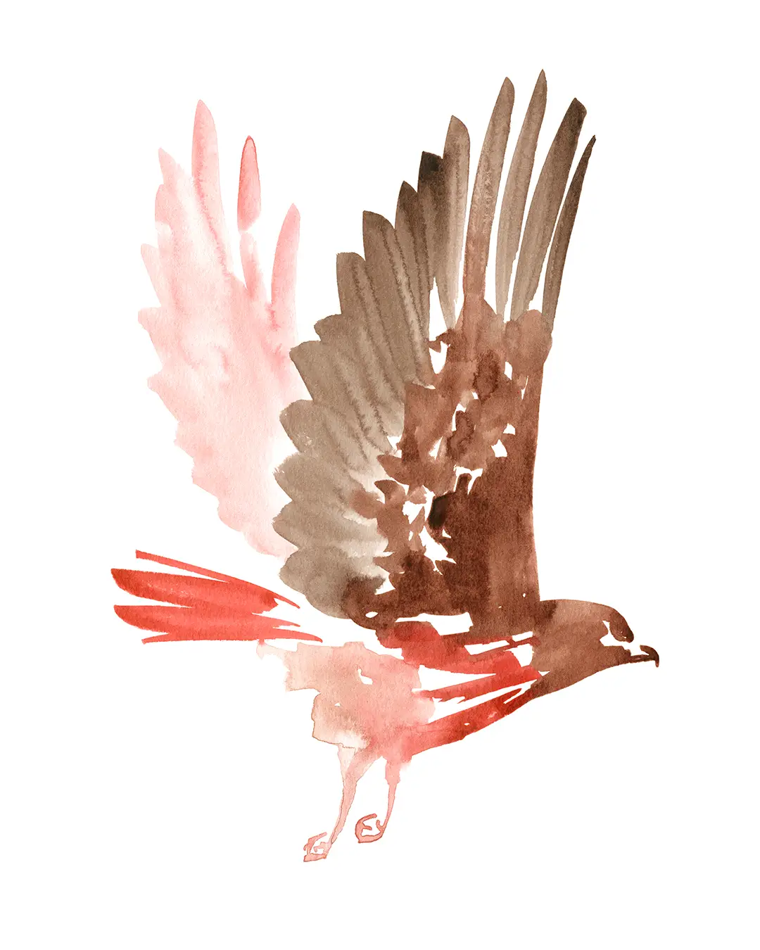 Ink painting of a hawk